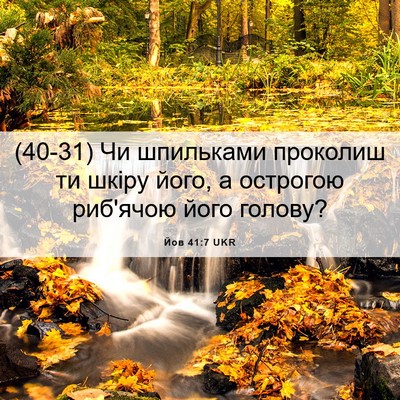 Picture 06 - Йов 41:7 UKR - (40-31) Чи шпильками проколиш - Bible Verse Picture