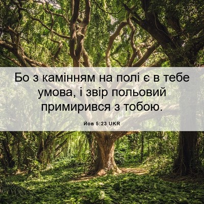 Picture 06 - Йов 5:23 UKR - Бо з камінням на полі є в - Bible Verse Picture