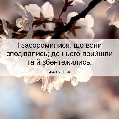 Picture 06 - Йов 6:20 UKR - І засоромилися, що вони - Bible Verse Picture