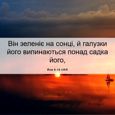 Picture 06 - Йов 8:16 UKR - Він зеленіє на сонці, й - Bible Verse Picture