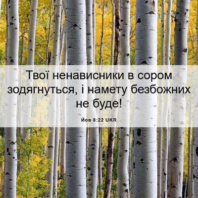 Picture 06 - Йов 8:22 UKR - Твої ненависники в сором - Bible Verse Picture