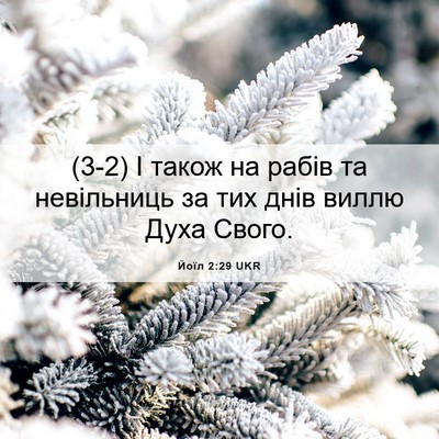 Picture 06 - Йоїл 2:29 UKR - (3-2) І також на рабів та - Bible Verse Picture