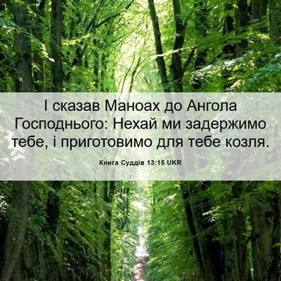 Picture 06 - Книга Суддів 13:15 UKR - І сказав Маноах до Ангола - Bible Verse Picture