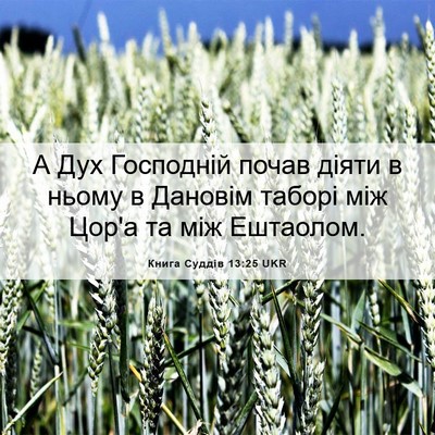 Picture 06 - Книга Суддів 13:25 UKR - А Дух Господній почав - Bible Verse Picture