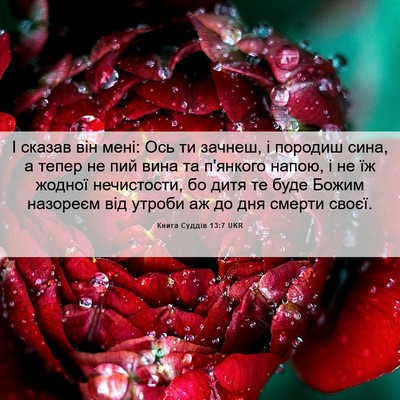 Picture 06 - Книга Суддів 13:7 UKR - І сказав він мені: Ось ти - Bible Verse Picture