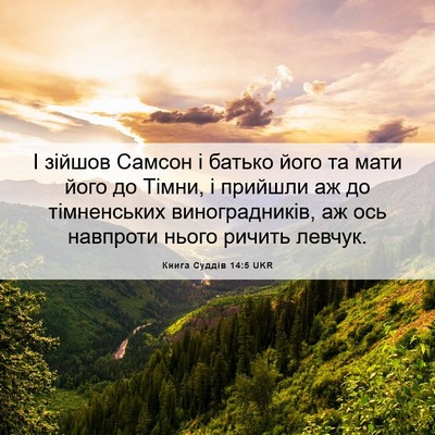 Picture 06 - Книга Суддів 14:5 UKR - І зійшов Самсон і батько - Bible Verse Picture