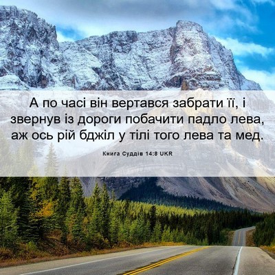 Picture 06 - Книга Суддів 14:8 UKR - А по часі він вертався - Bible Verse Picture