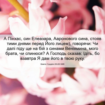 Picture 06 - Книга Суддів 20:28 UKR - А Пінхас, син Елеазара, - Bible Verse Picture