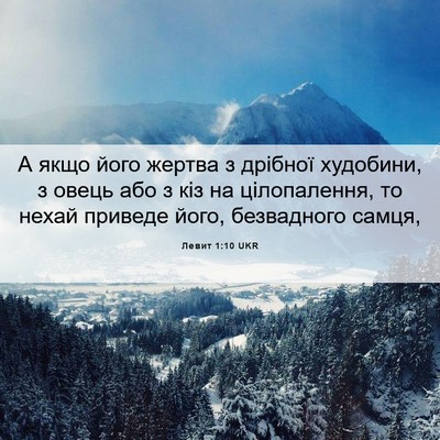 Picture 06 - Левит 1:10 UKR - А якщо його жертва з - Bible Verse Picture
