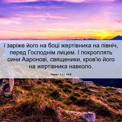 Picture 06 - Левит 1:11 UKR - і заріже його на боці - Bible Verse Picture