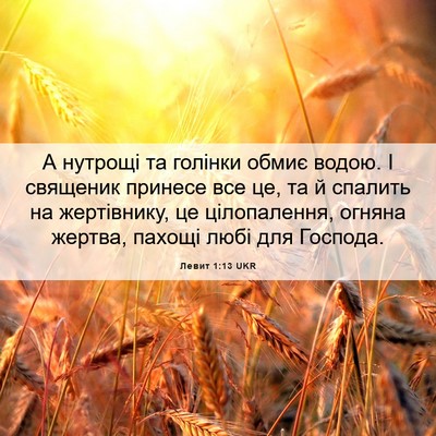 Picture 06 - Левит 1:13 UKR - А нутрощі та голінки обмиє - Bible Verse Picture