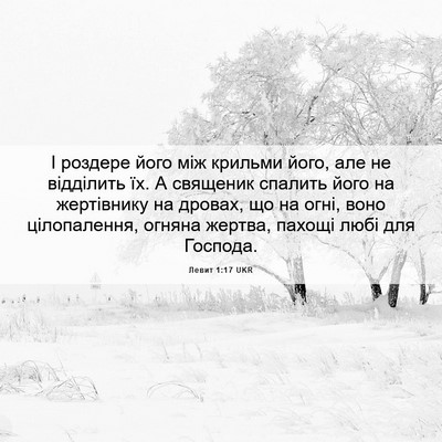 Picture 06 - Левит 1:17 UKR - І роздере його між крильми - Bible Verse Picture