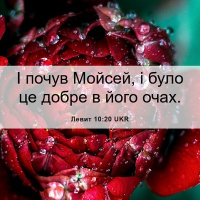 Picture 06 - Левит 10:20 UKR - І почув Мойсей, і було це - Bible Verse Picture