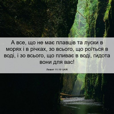 Picture 06 - Левит 11:10 UKR - А все, що не має плавців та - Bible Verse Picture