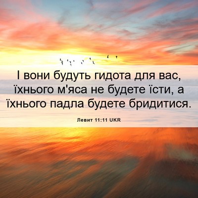 Picture 06 - Левит 11:11 UKR - І вони будуть гидота для - Bible Verse Picture
