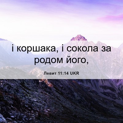 Picture 06 - Левит 11:14 UKR - і коршака, і сокола за - Bible Verse Picture