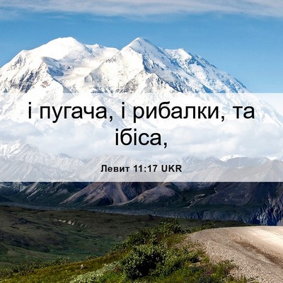 Picture 06 - Левит 11:17 UKR - і пугача, і рибалки, та - Bible Verse Picture