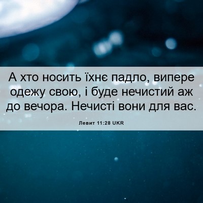 Picture 06 - Левит 11:28 UKR - А хто носить їхнє падло, - Bible Verse Picture