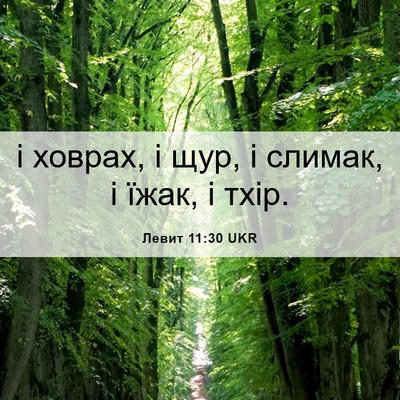 Picture 06 - Левит 11:30 UKR - і ховрах, і щур, і слимак, і - Bible Verse Picture