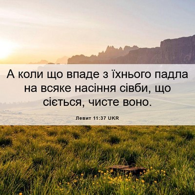 Picture 06 - Левит 11:37 UKR - А коли що впаде з їхнього - Bible Verse Picture