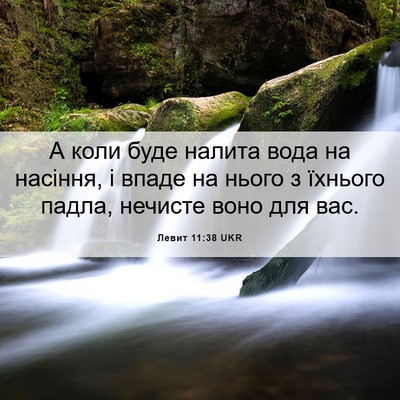 Picture 06 - Левит 11:38 UKR - А коли буде налита вода на - Bible Verse Picture
