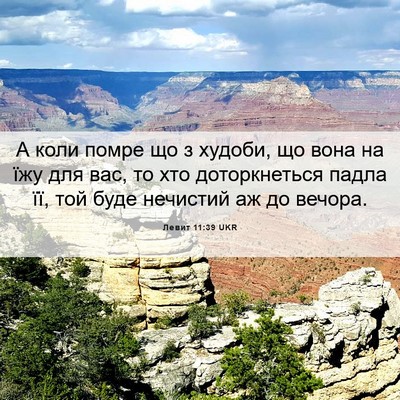 Picture 06 - Левит 11:39 UKR - А коли помре що з худоби, що - Bible Verse Picture