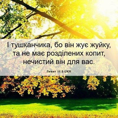 Picture 06 - Левит 11:5 UKR - І тушканчика, бо він жує - Bible Verse Picture