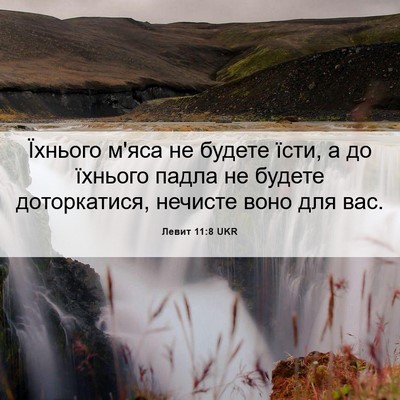 Picture 06 - Левит 11:8 UKR - Їхнього м'яса не будете - Bible Verse Picture