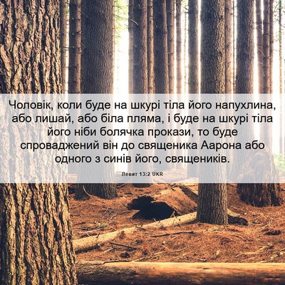 Picture 06 - Левит 13:2 UKR - Чоловік, коли буде на шкурі - Bible Verse Picture