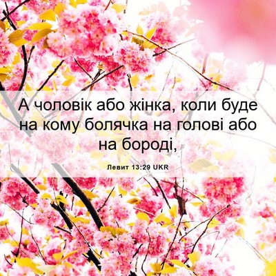 Picture 06 - Левит 13:29 UKR - А чоловік або жінка, коли - Bible Verse Picture
