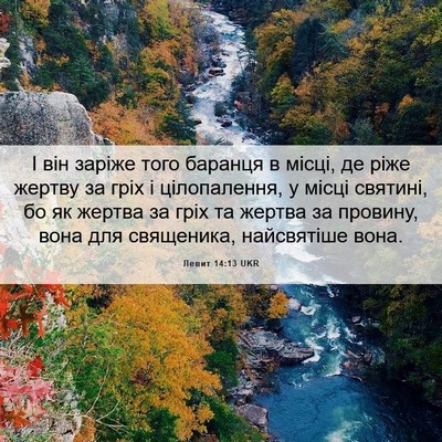 Picture 06 - Левит 14:13 UKR - І він заріже того баранця в - Bible Verse Picture