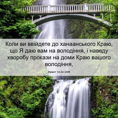 Picture 06 - Левит 14:34 UKR - Коли ви ввійдете до - Bible Verse Picture