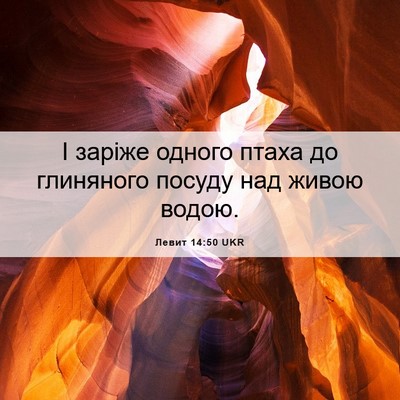 Picture 06 - Левит 14:50 UKR - І заріже одного птаха до - Bible Verse Picture