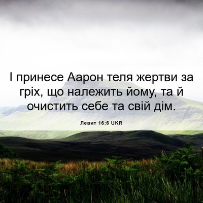 Picture 06 - Левит 16:6 UKR - І принесе Аарон теля - Bible Verse Picture