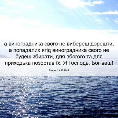 Picture 06 - Левит 19:10 UKR - а виноградника свого не - Bible Verse Picture