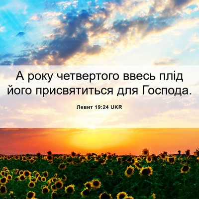 Picture 06 - Левит 19:24 UKR - А року четвертого ввесь - Bible Verse Picture
