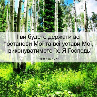 Picture 06 - Левит 19:37 UKR - І ви будете держати всі - Bible Verse Picture