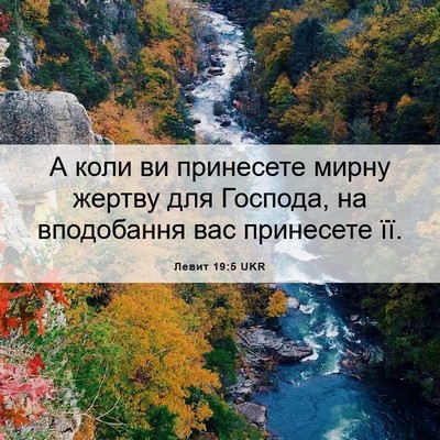 Picture 06 - Левит 19:5 UKR - А коли ви принесете мирну - Bible Verse Picture