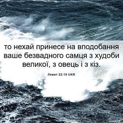 Picture 06 - Левит 22:19 UKR - то нехай принесе на - Bible Verse Picture
