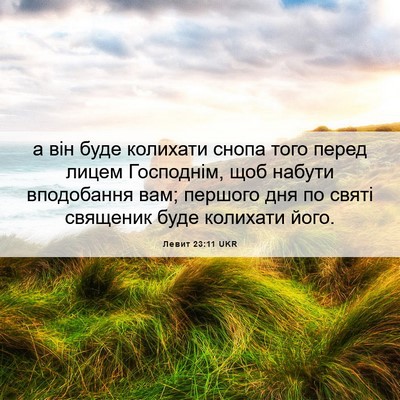 Picture 06 - Левит 23:11 UKR - а він буде колихати снопа - Bible Verse Picture