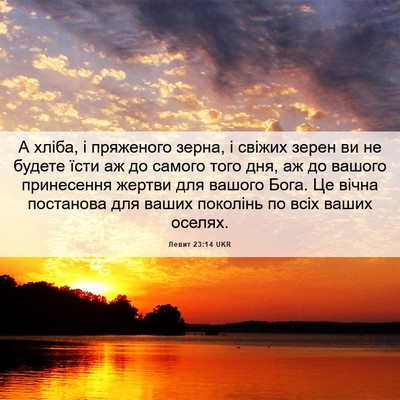Picture 06 - Левит 23:14 UKR - А хліба, і пряженого зерна, - Bible Verse Picture
