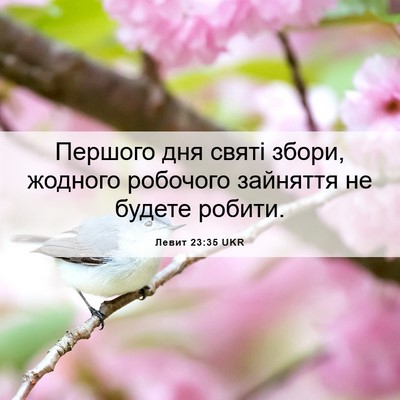 Picture 06 - Левит 23:35 UKR - Першого дня святі збори, - Bible Verse Picture