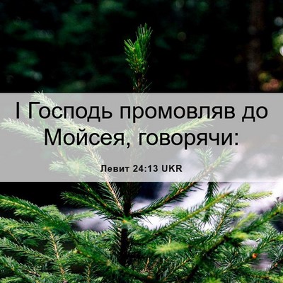 Picture 06 - Левит 24:13 UKR - І Господь промовляв до - Bible Verse Picture