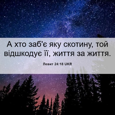 Picture 06 - Левит 24:18 UKR - А хто заб'є яку скотину, той - Bible Verse Picture