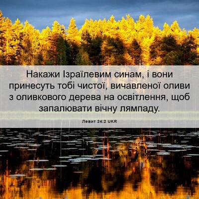 Picture 06 - Левит 24:2 UKR - Накажи Ізраїлевим синам, і - Bible Verse Picture