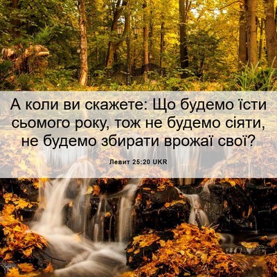 Picture 06 - Левит 25:20 UKR - А коли ви скажете: Що - Bible Verse Picture