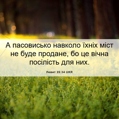 Picture 06 - Левит 25:34 UKR - А пасовисько навколо їхніх - Bible Verse Picture