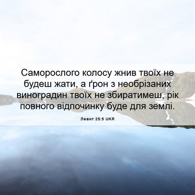 Picture 06 - Левит 25:5 UKR - Саморослого колосу жнив - Bible Verse Picture
