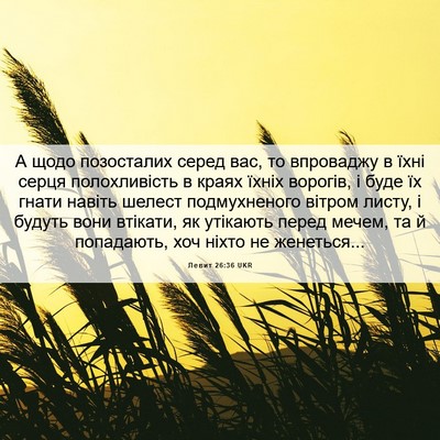 Picture 06 - Левит 26:36 UKR - А щодо позосталих серед - Bible Verse Picture