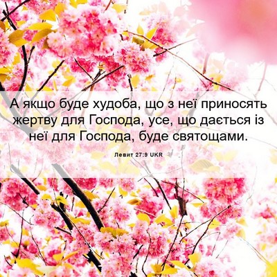 Picture 06 - Левит 27:9 UKR - А якщо буде худоба, що з неї - Bible Verse Picture